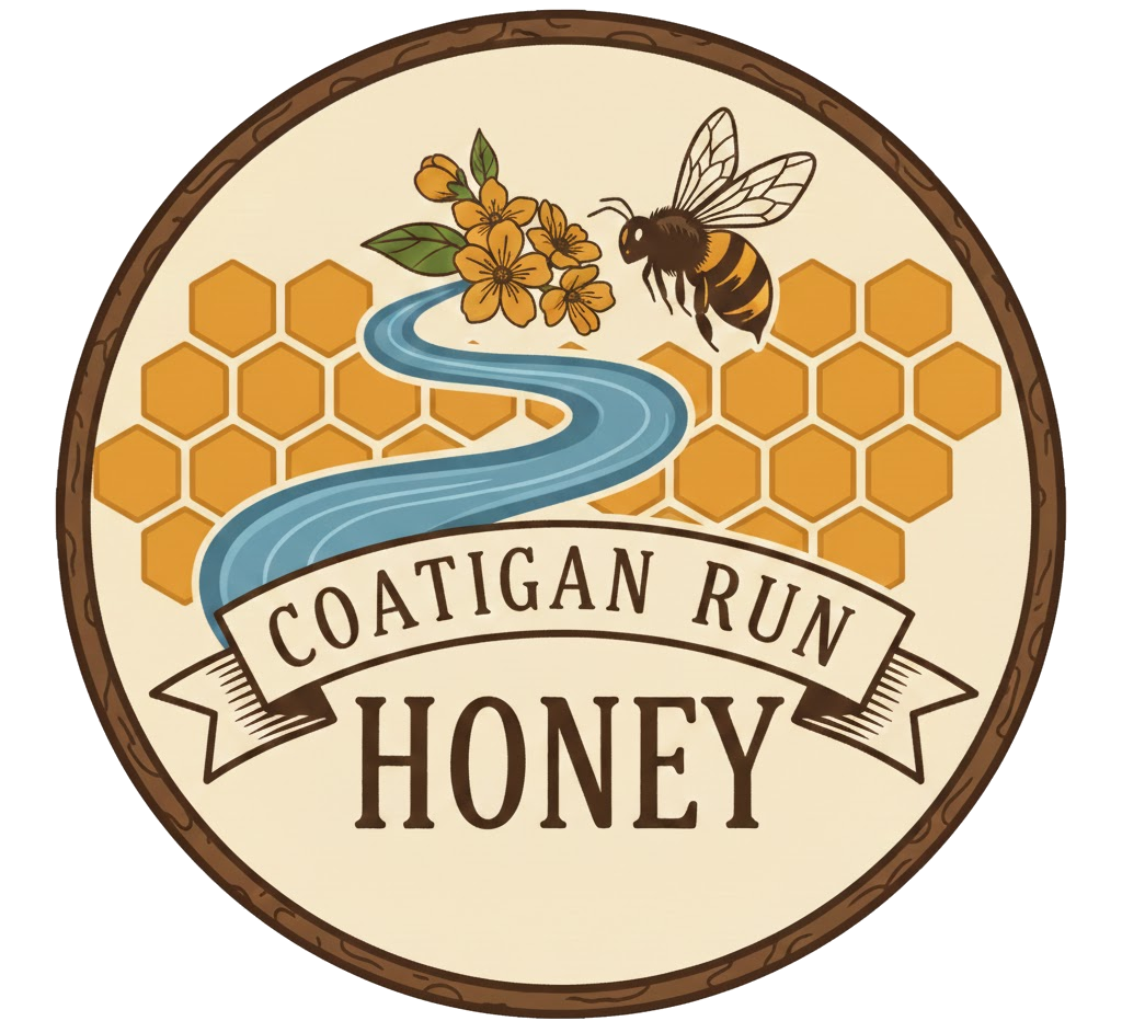 Coatigan Run Honey